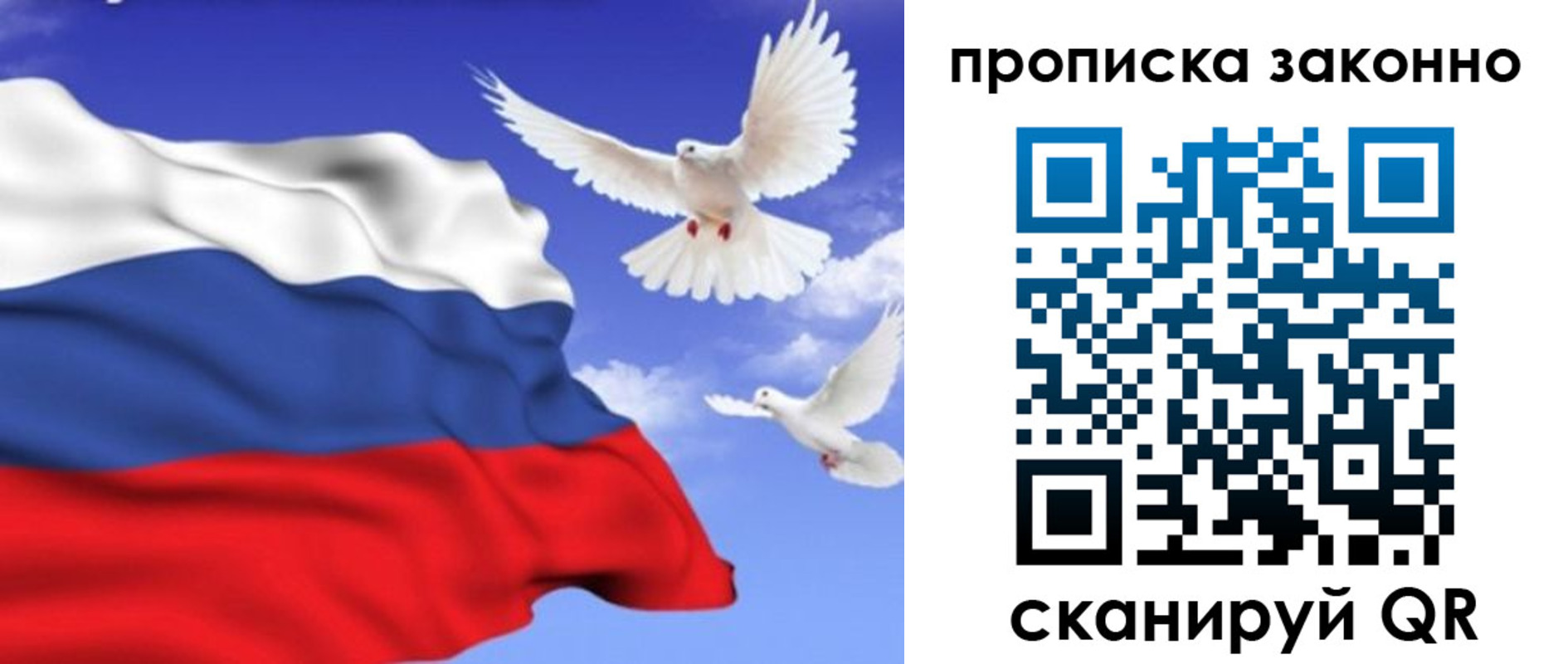 прописка в Плавске